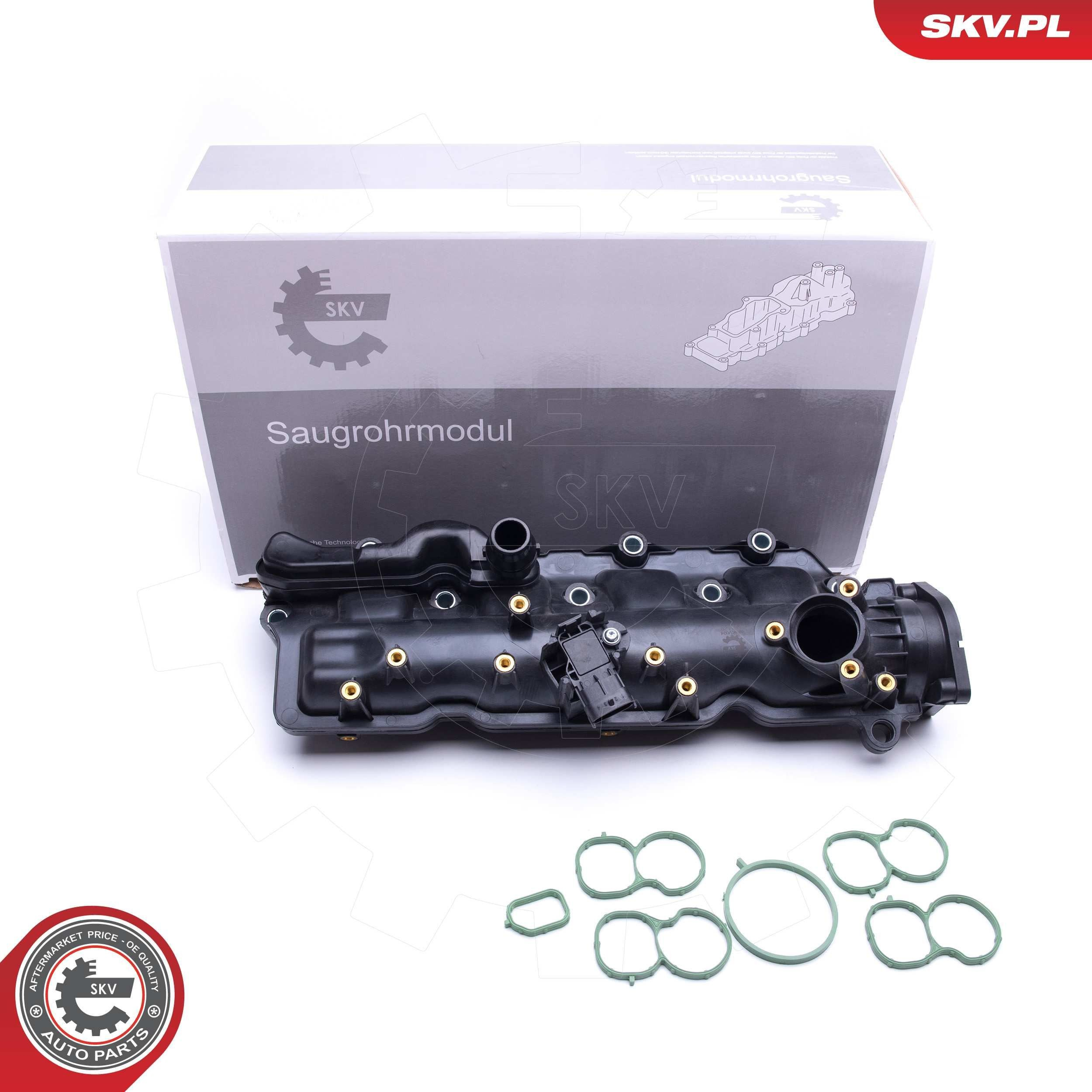 49SKV024 SKV